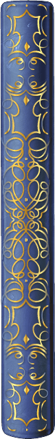 Decorative book spine